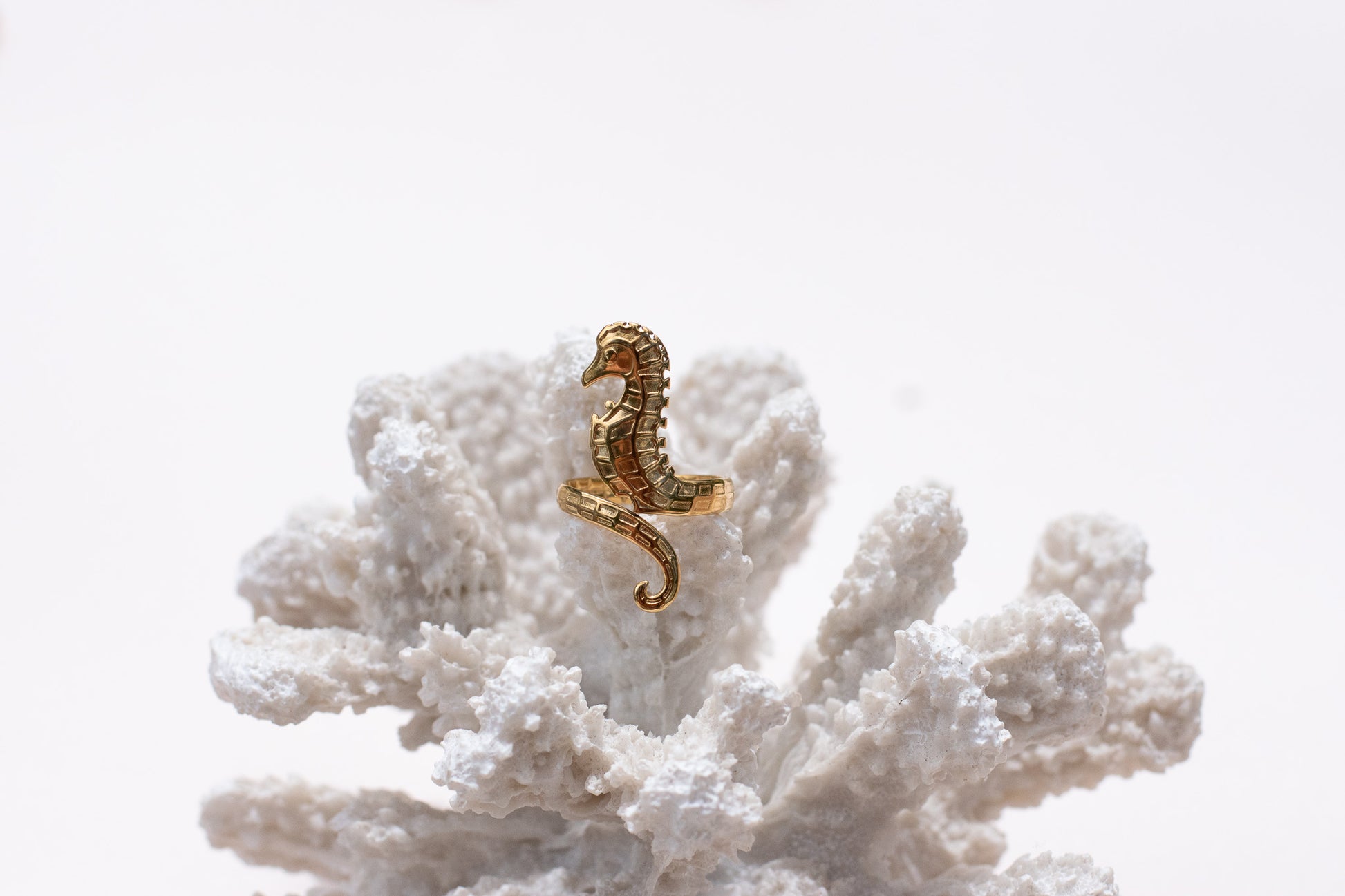 Seahorse Ring